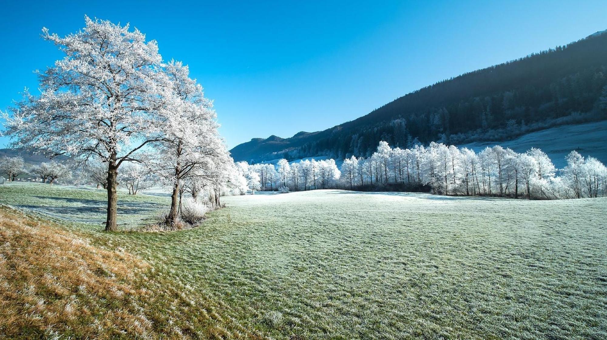 Alpen Appartement ヴィンターベルク エクステリア 写真